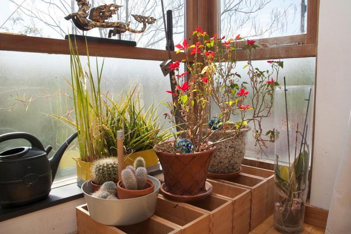 ※ Relaxing Home- Parking & Gorgeous Gardens Bath Exterior photo